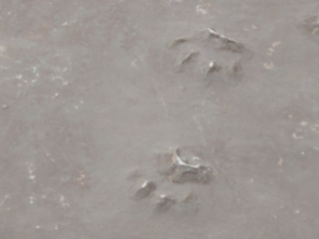 20251008 110801